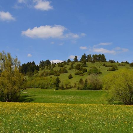Casa Wiesenblick Nuertingen Buitenkant foto