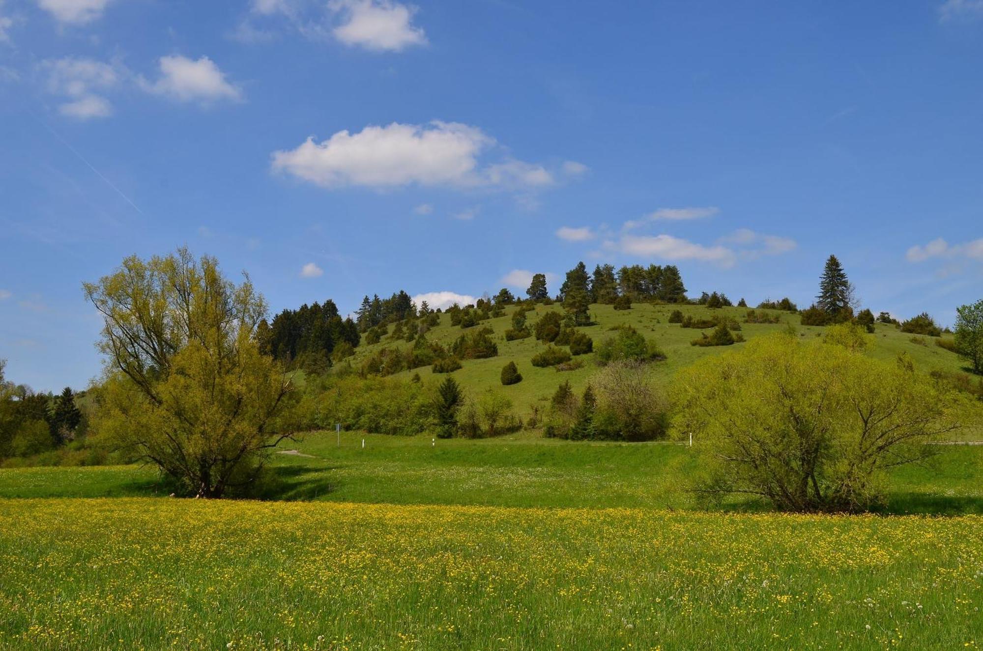 Casa Wiesenblick Nuertingen Buitenkant foto
